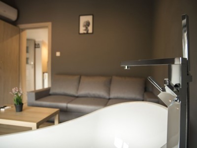 Wanna w pokoju z widokiem na salon - Szklarska Poręba